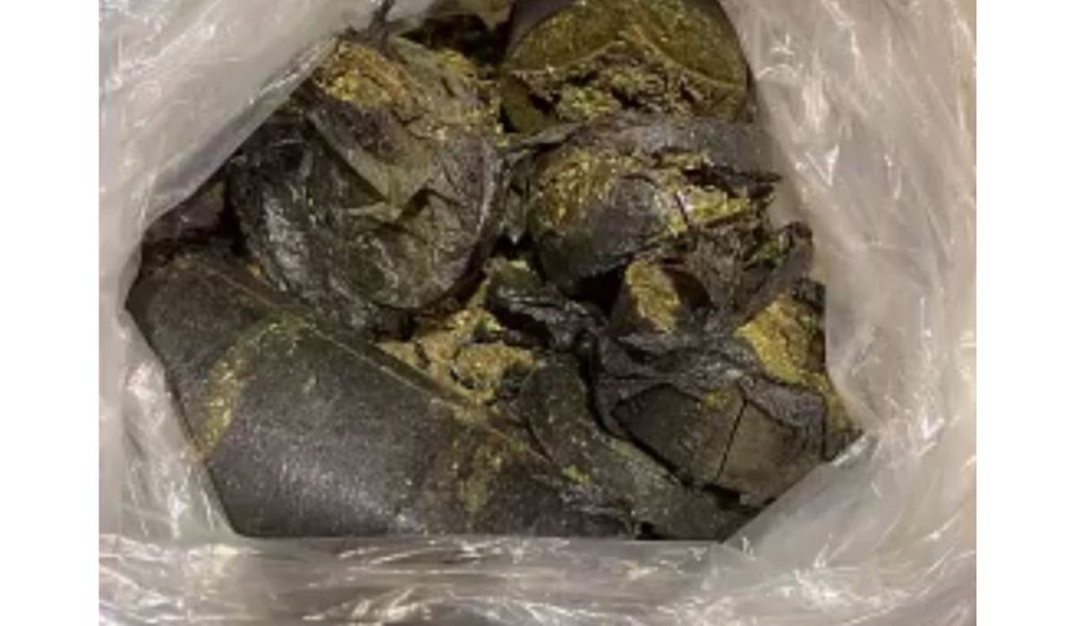 Customs officials foils smuggling attempt of marijuana into Qatar